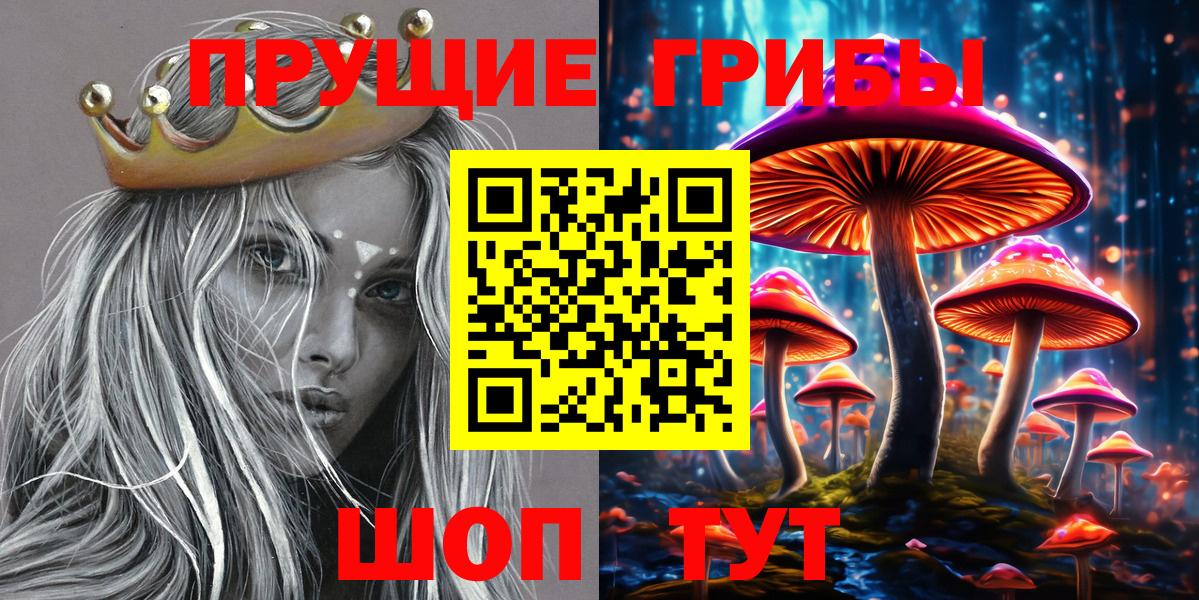 Волоколамск  Псилоцибиновые грибы прущие грибы  Вход с VPN 