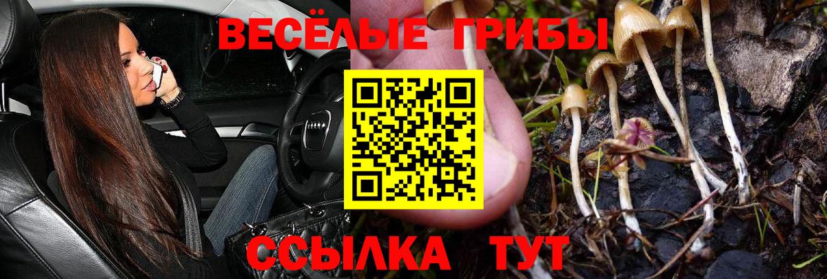 Галлюциногенные грибы Cubensis Волоколамск